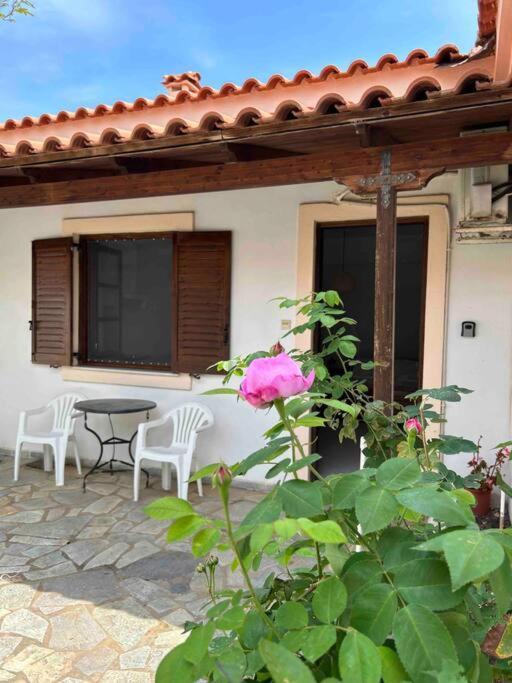 Appartement Cozy Studio In Skala, Agistri Extérieur photo